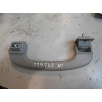 Ручка внутренняя потолочная передняя X1 E84 2009- 51169143523