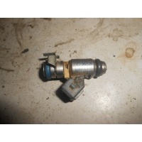 Форсунка топливная Renault Duster 2009- 166009398R