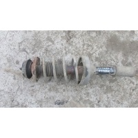 Амортизатор передний (с пружиной в сборе) Renault Clio II 1998-2005 7701479312