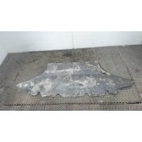 Защита моторного отсека (картера ДВС) Audi A5 2007-2011 2010