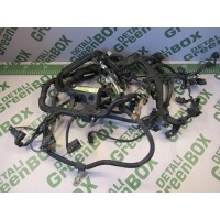 Проводка (коса) Mercedes E C207 2010 A2720105198