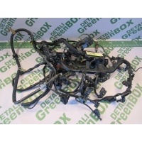 Проводка (коса) Mercedes E W212 2010 A2721506133