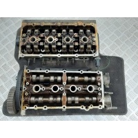 Головка блока цилиндров Volkswagen Golf 4 (1997-2004) 2003 036103373AK