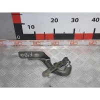 Петля капота правая Renault Megane 1 (-) 1997 ,7700834370