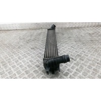 Радиатор интеркуллера RENAULT LAGUNA (2007-2011) 2008 144610001N