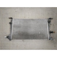 Радиатор основной Renault Megane 3 2008-2012 2009 214100002R
