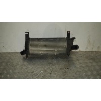Интеркулер Nissan Navara D40 2005-2010 2008 14461-EB360
