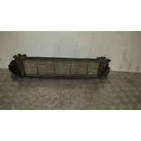 Интеркулер Mercedes Benz C W203 2001-2004 2002 A2035000500