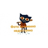Потолок AUDI A6 2004 – 2008 C6 2006 4F9867505, 4F98675051NC, 4F9867505