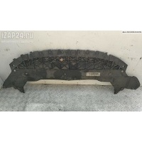 Защита переднего бампера Ford S-Max 2006