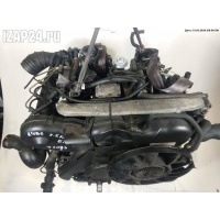 ТНВД Audi A4 B6 (2001-2004) 2003 059130106M