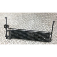 Радиатор масляный VOLKSWAGEN TIGUAN (2008-2015) 2014 5N0317019C