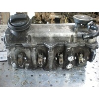 Головка блока цилиндров Volkswagen GOLF IV 2000 038103373E