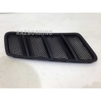 Решетка капота Mercedes W166 ML A1668800205