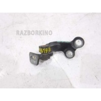 Петля двери Jaguar X-Type C2S20391