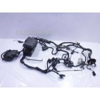 Проводка (коса) Ford Focus 3 1722536