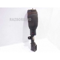 Пневмоамортизатор передний левый Land Rover Range Rover Vogue 3 L322 RNB000750