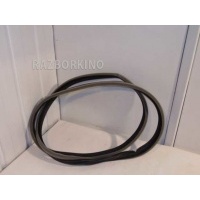 Уплотнитель двери Renault Laguna 2 X74 8200440770