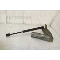 Петля капота левая SsangYong Rexton 1 Y200 Y250 Y290 6181008001
