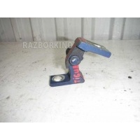 Петля двери Volkswagen Tiguan 1 5N 5N0831402