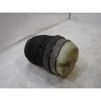 Задняя пневмоподушка Audi A6 Allroad C6 4F0616001J
