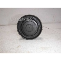 Ролик натяжителя ремня Chery Tiggo T11 T113412030