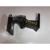 Петля двери задней Volkswagen Jetta 6 8K0831401S
