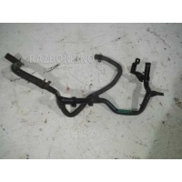 Трубка охлаждающей жидкости металлическая Volkswagen Caddy 3 2K 2003-2015 037121065L