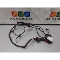 проводка двери 2014 S101038-1201
