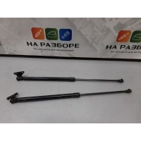 амортизатор багажника 2014 S101095-0200
