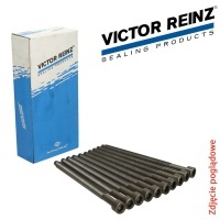 комплект болтов головки reinz audi a4 8ed , b7