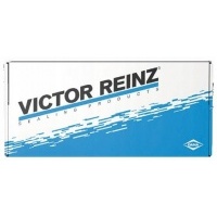 reinz 12 - 31306 - 02