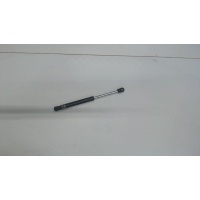 Амортизатор капота левая=правая BMW X5 E53 2000-2007 2004 51238402551