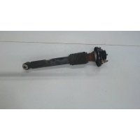 Амортизатор подвески зад. левая=правая BMW X5 E53 2000-2007 2004 33506751543