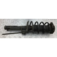 Амортизатор подвески передний левый Audi A3 8P (2003-2012) 2005 1K0413031AT