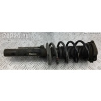 Амортизатор подвески передний правый Audi A3 8P (2003-2012) 2005 1K0413031AT