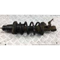 Амортизатор подвески Зад. Правая Honda CR-V (2007-2011) 2007 52611-SWA-E02, пружина - 52441-SWW-E11