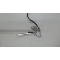 Петля капота правая Audi Q7 2006-2009 2007 4L0823302