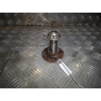 Цапфа Fabia (07-10)/Polo 5 (09-) H/B зад L\R б/у