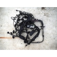 Проводка (коса) Mercedes W164 ML A2721501633
