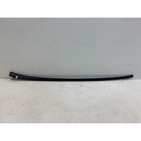 молдинг лобового стекла Ford Focus 3 2011- 2002778