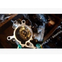 Насос вакуумный Volkswagen Passat B6 2008 06J145100B