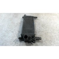 Радиатор интеркулера NISSAN NAVARA D40 (2005-2007) 2007 14461EB360