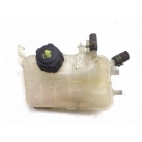 Бачок расширительный Renault Megane 2009 217100005R