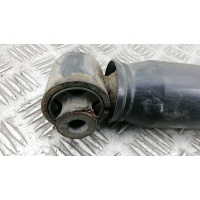 Амортизатор задней балки RENAULT SCENIC (2005-2009) 2009 8200415734