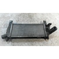 Радиатор интеркулера NISSAN NAVARA D40 (2005-2007) 2006 14461EB360