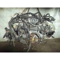 Коллектор выпускной Audi A6 C6 (4F) 2004 - 2011 2005 079253034C