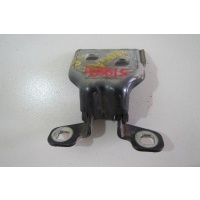 Петля двери Renault Sandero 1 804209726R