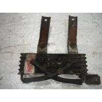 Радиатор масляный Hyundai Santa Fe 1 SM 2546026510