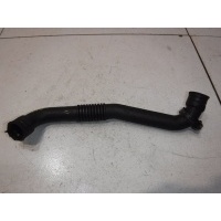 Патрубок воздушный Audi A4 B6 038103493AE